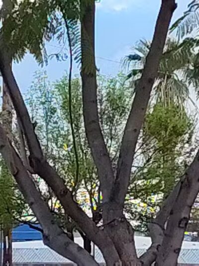 Washington Park - Phoenix, AZ