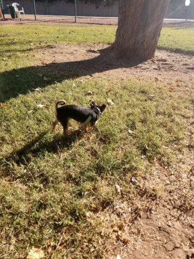 Washington Park - Phoenix, AZ