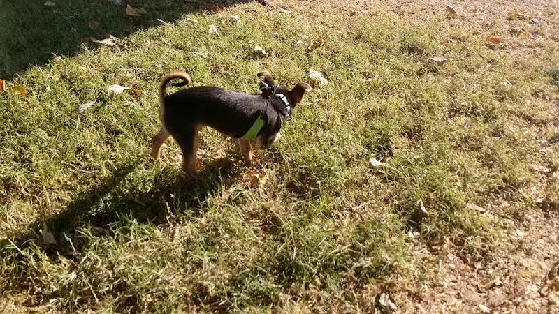 Washington Park - Phoenix, AZ