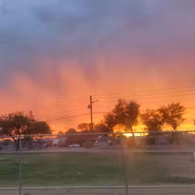 PetSmart Dog Park - Phoenix, AZ