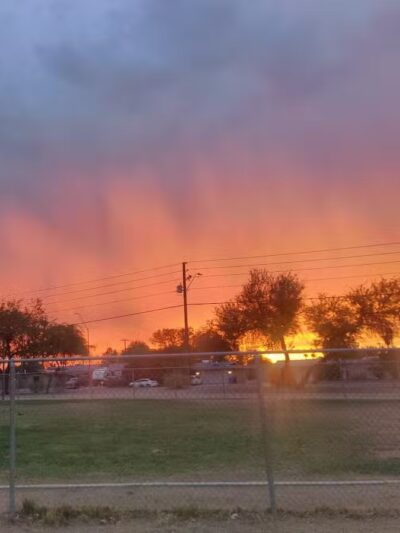 PetSmart Dog Park - Phoenix, AZ