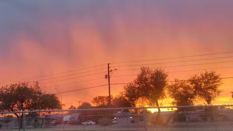 PetSmart Dog Park - Phoenix, AZ