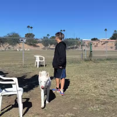 PetSmart Dog Park - Phoenix, AZ