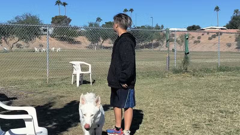 PetSmart Dog Park - Phoenix, AZ