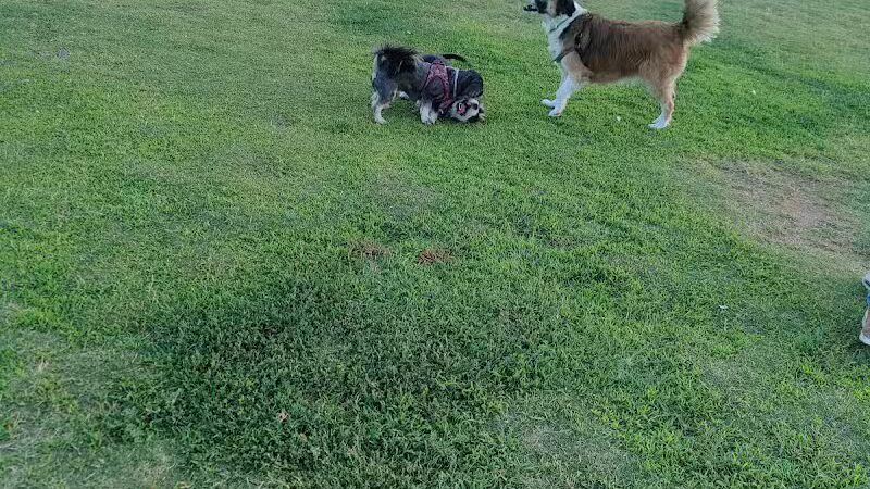 PetSmart Dog Park - Phoenix, AZ