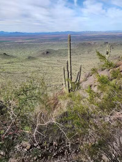 Picacho Peak Summit - Picacho, AZ