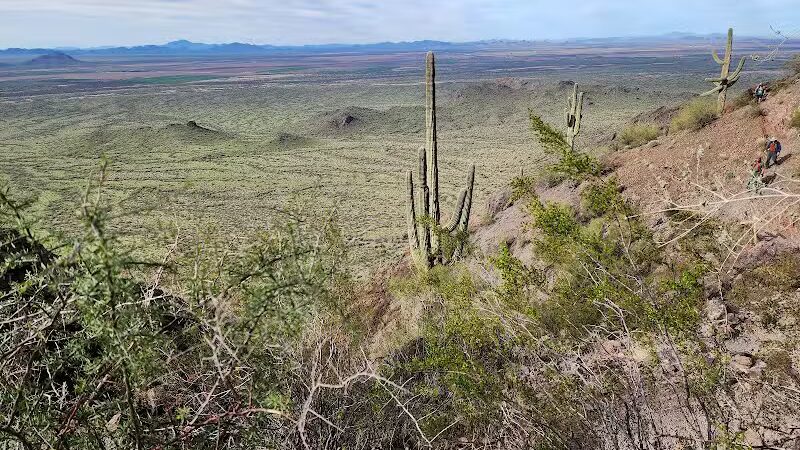 Picacho Peak Summit - Picacho, AZ