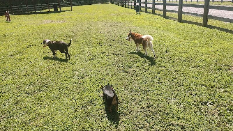 Pikeville Dog Park - Pikeville, KY
