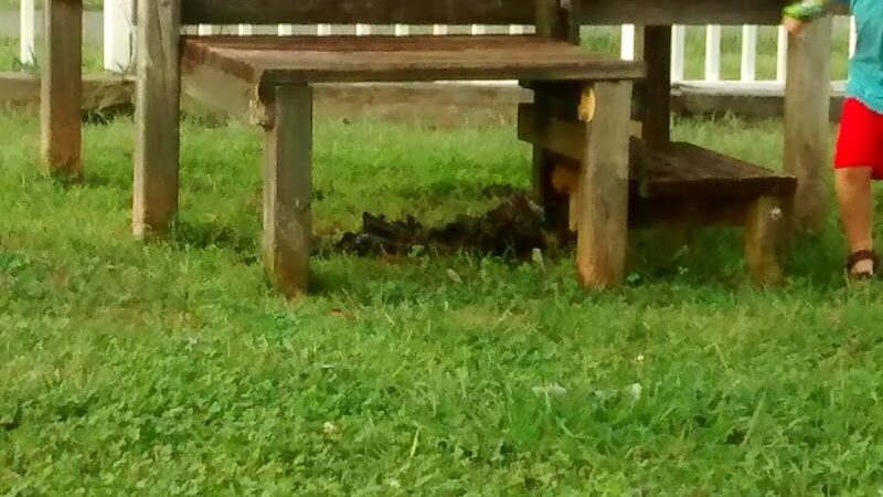 City of Pikeville Park/Playground - Pikeville, TN