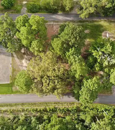 Park - Pine Bluff, AR