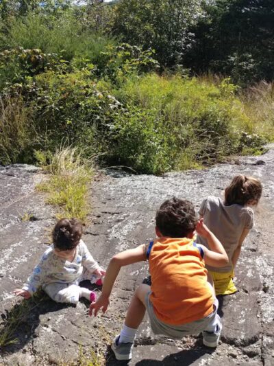 Manchester Park - Pine Brook, NJ