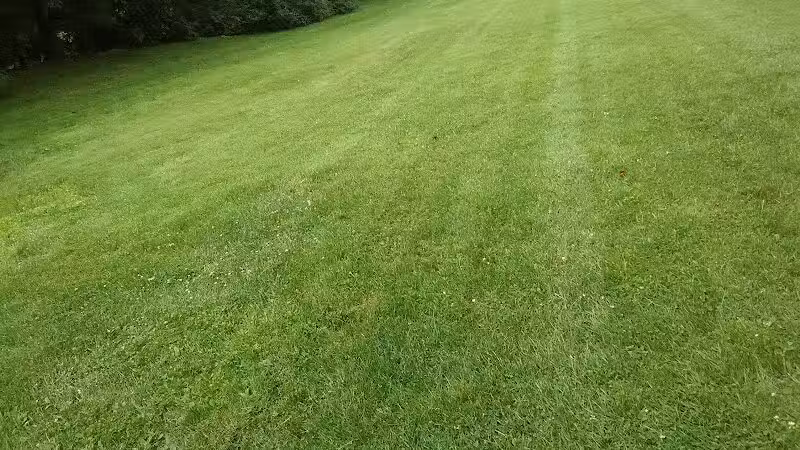 Manchester Park - Pine Brook, NJ