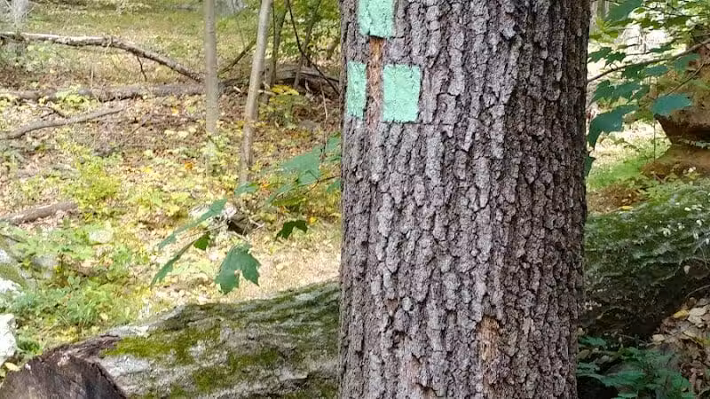 Manchester Park - Pine Brook, NJ