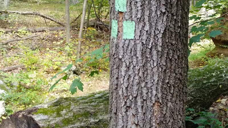 Manchester Park - Pine Brook, NJ