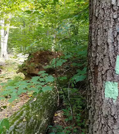 Manchester Park - Pine Brook, NJ