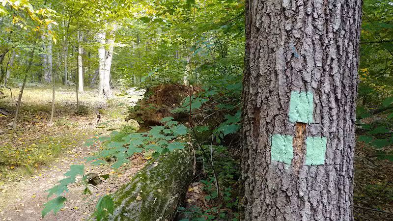 Manchester Park - Pine Brook, NJ