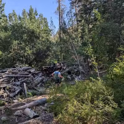 Forsyth Trailhead - Pine Valley, UT