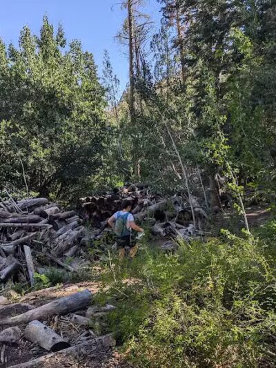Forsyth Trailhead - Pine Valley, UT