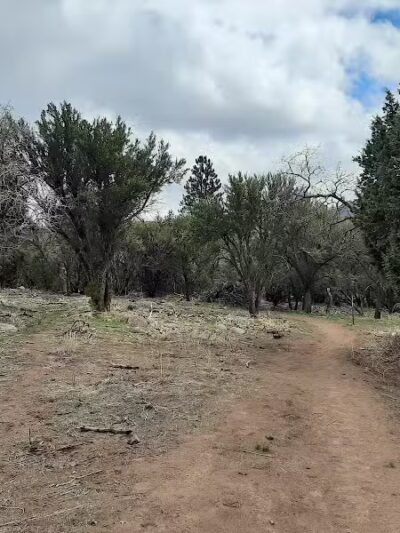 Forsyth Trailhead - Pine Valley, UT