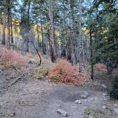 Forsyth Trailhead - Pine Valley, UT