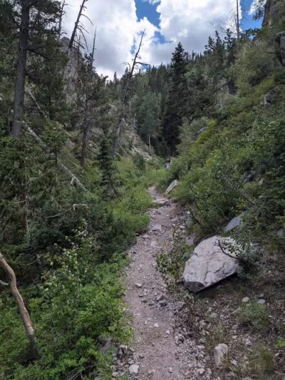 Forsyth Trailhead - Pine Valley, UT