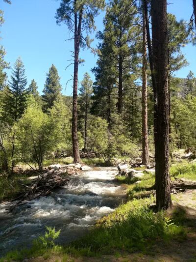 Pine Valley Recreation Area - Pine Valley, UT
