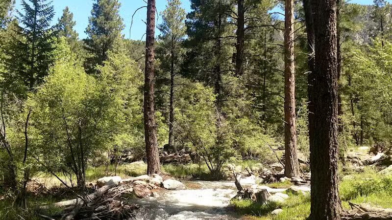 Pine Valley Recreation Area - Pine Valley, UT