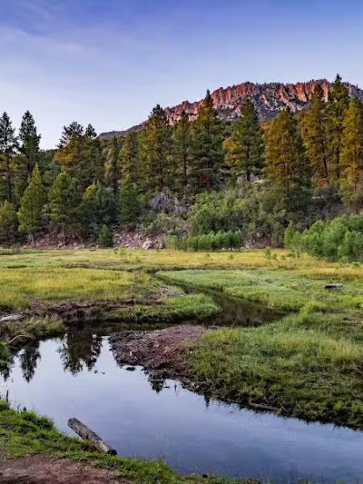 Pine Valley Recreation Area - Pine Valley, UT