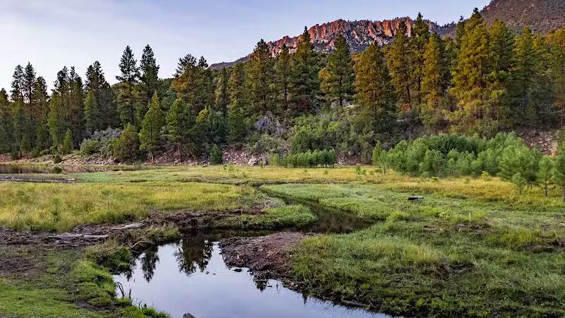 Pine Valley Recreation Area - Pine Valley, UT