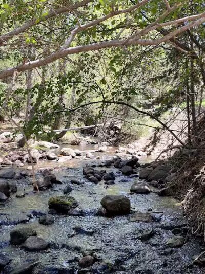 Pine Valley Recreation Area - Pine Valley, UT