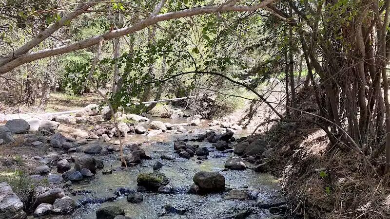 Pine Valley Recreation Area - Pine Valley, UT