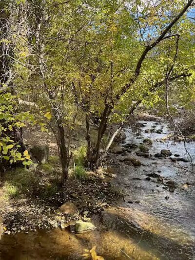 Pine Valley Recreation Area - Pine Valley, UT