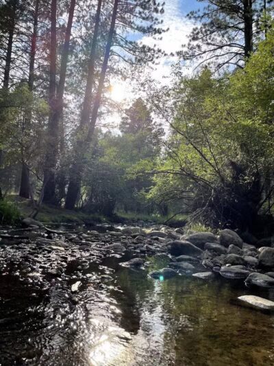 Pine Valley Recreation Area - Pine Valley, UT