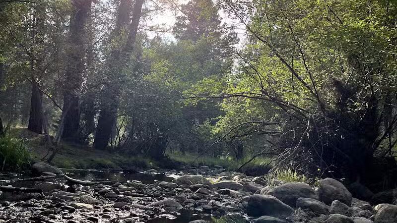 Pine Valley Recreation Area - Pine Valley, UT