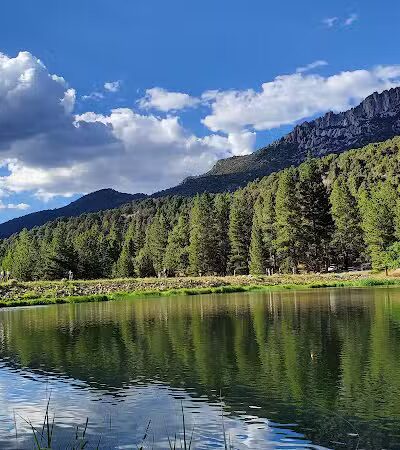 Pine Valley Recreation Area - Pine Valley, UT