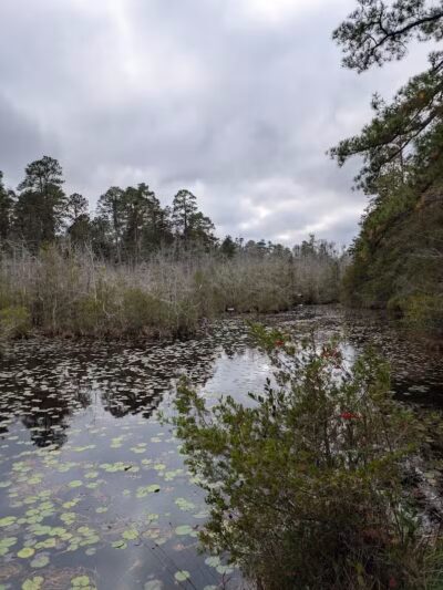 Pinebluff park - Pinebluff, NC
