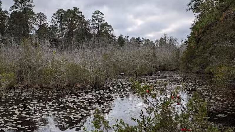 Pinebluff park - Pinebluff, NC