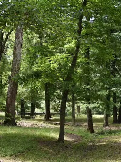 Pineland Park - Pineland, TX