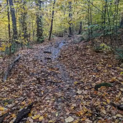 Echo Cliffs Trailhead - Piseco, NY