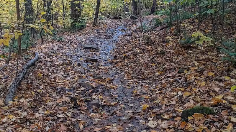 Echo Cliffs Trailhead - Piseco, NY