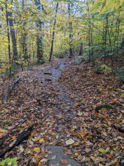 Echo Cliffs Trailhead - Piseco, NY