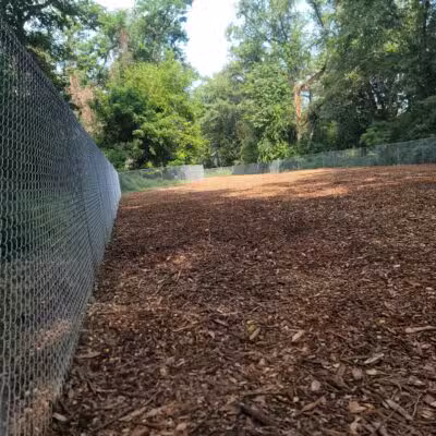 Dickson Dog Park - Pittsburgh, PA