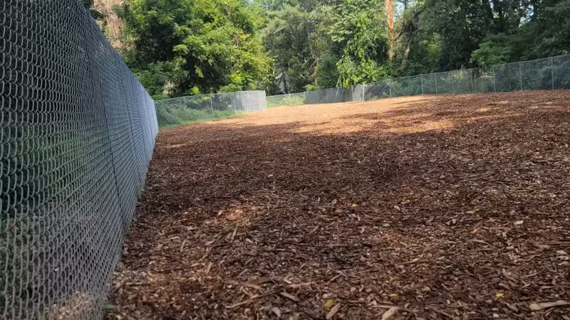 Dickson Dog Park - Pittsburgh, PA