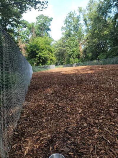 Dickson Dog Park - Pittsburgh, PA