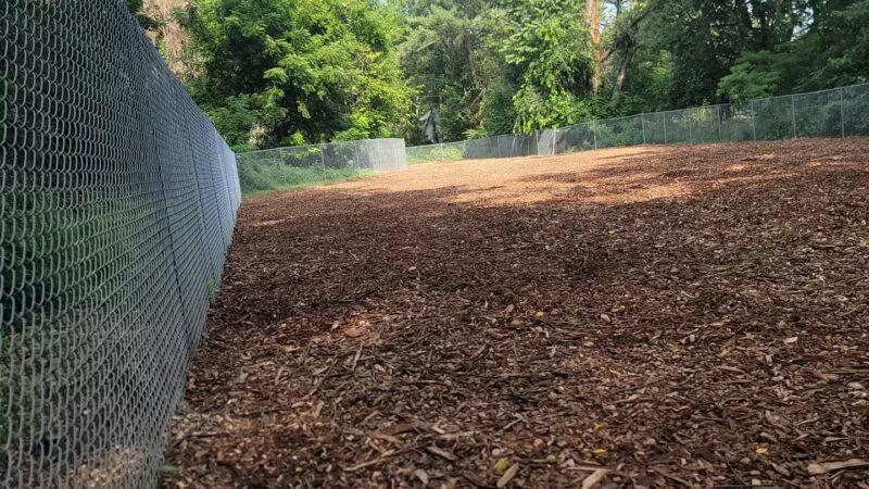 Dickson Dog Park - Pittsburgh, PA