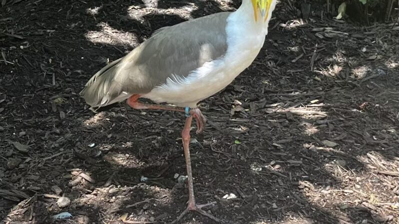 Highland Park Off Leash Exercise Area - Pittsburgh, PA