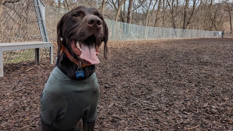 Dickson Dog Park - Pittsburgh, PA
