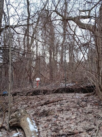 Dickson Dog Park - Pittsburgh, PA