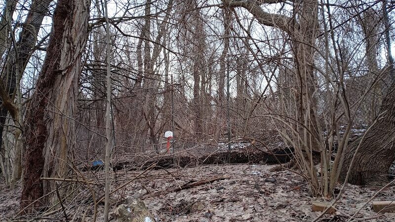 Dickson Dog Park - Pittsburgh, PA