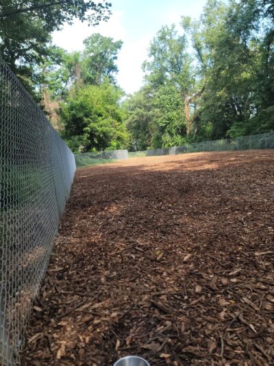 Dickson Dog Park - Pittsburgh, PA